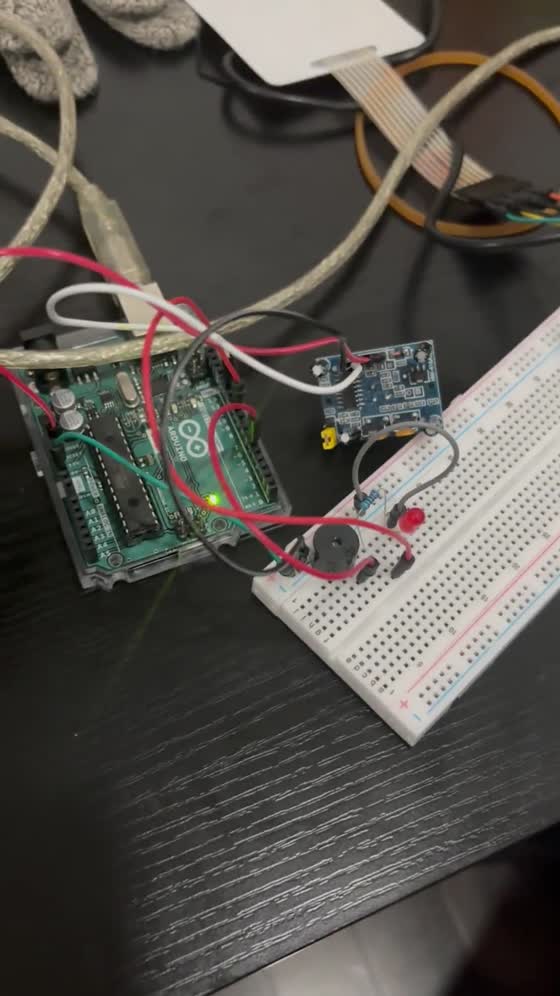 Video: motion detector live demo